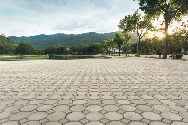 Best Permeable Paver Driveway  in Shelbyville, TN