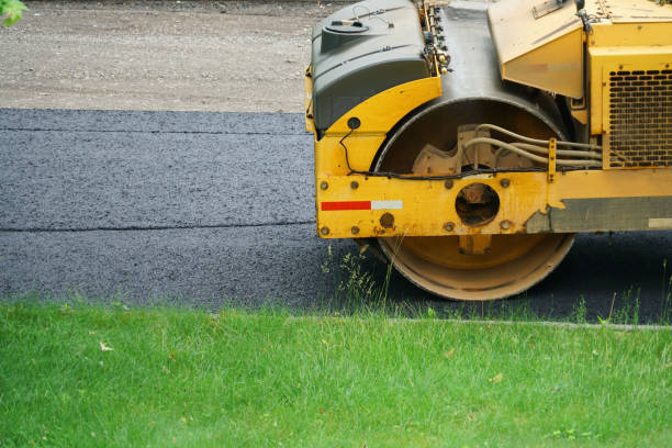 Best Professional Driveway Pavers  in Shelbyville, TN