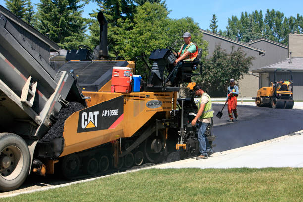 Best Custom Driveway Pavers  in Shelbyville, TN